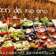 banco frutta e verdura